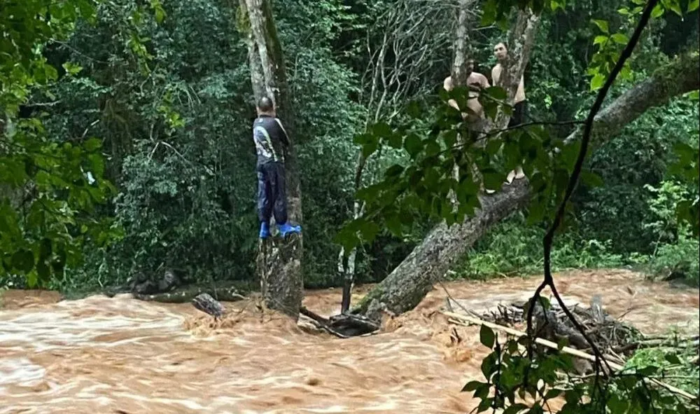 (Foto: Reprodução)