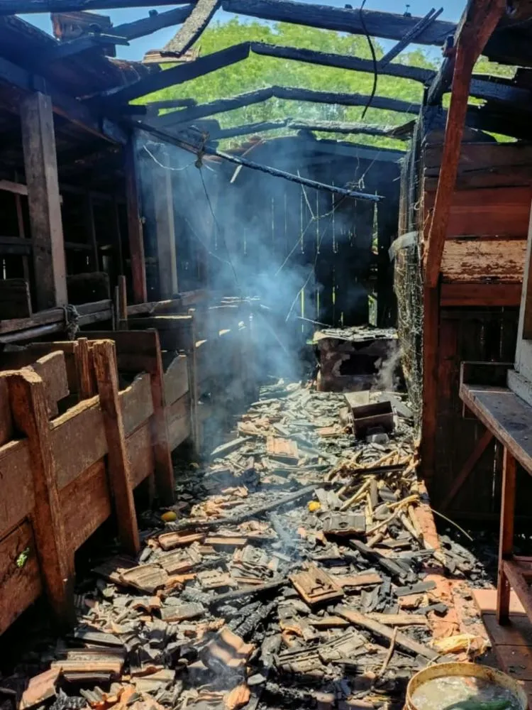 (Foto: Divulgação / Corpo de Bombeiros)