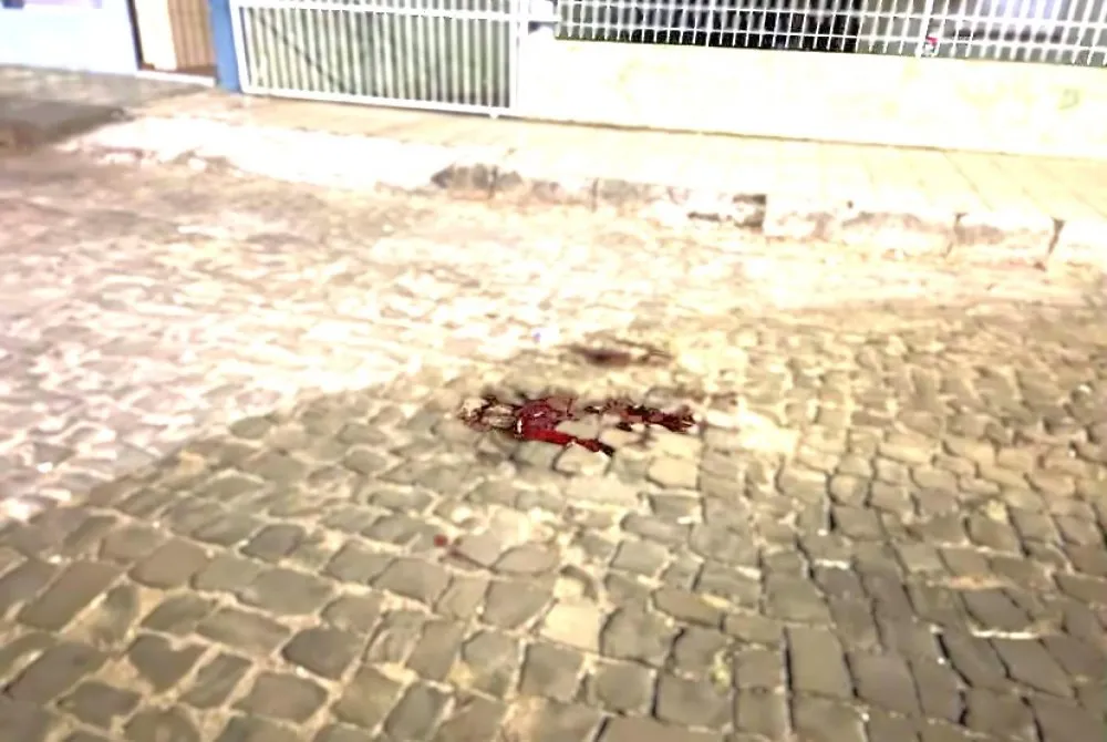 Marca de sangue na via. (Foto: JMD)