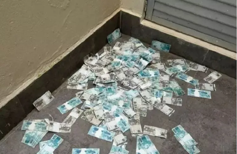 (Foto: Divulgação PF)