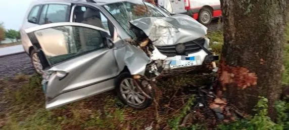 (Foto: Divulgação / Corpo de Bombeiros)