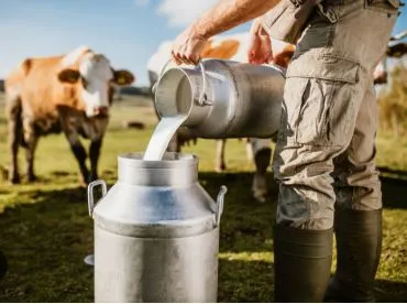 (Foto: Divulgação Nutrição e Saúde Animal)