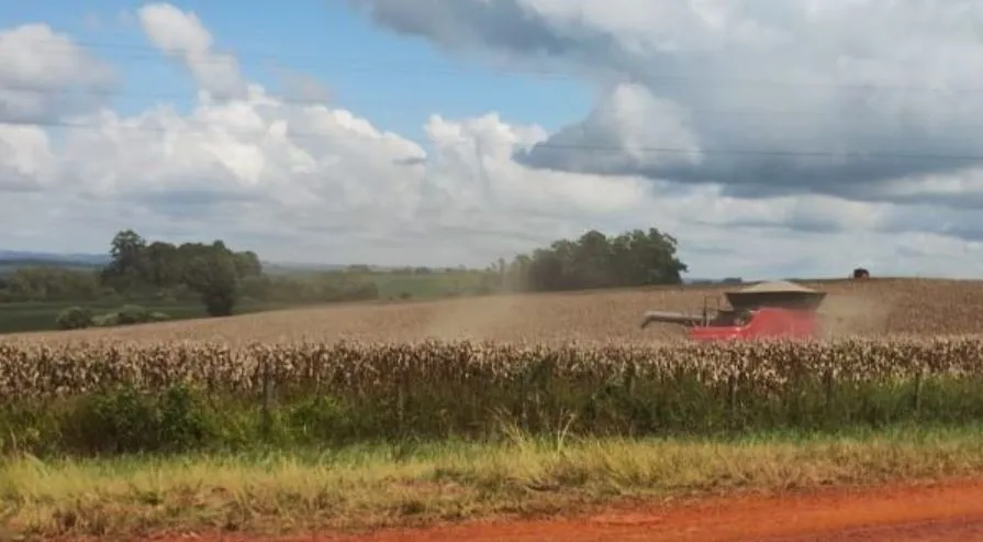 (Foto: Adriane Bertoglio Rodrigues/Emater/RS-Ascar)