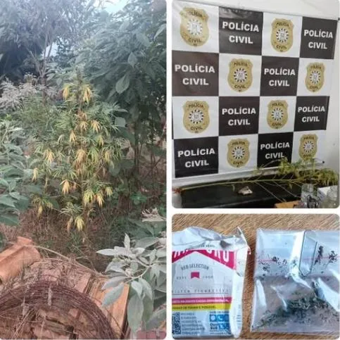 (Foto: Divulgação 22ª DRP)