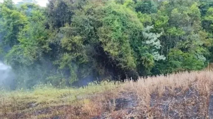 Foto: Divulgação Bombeiros Voluntários