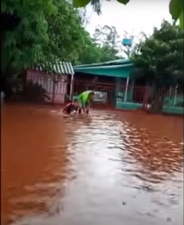 (Foto: Reprodução / Vídeo / Guia Crissiumal)