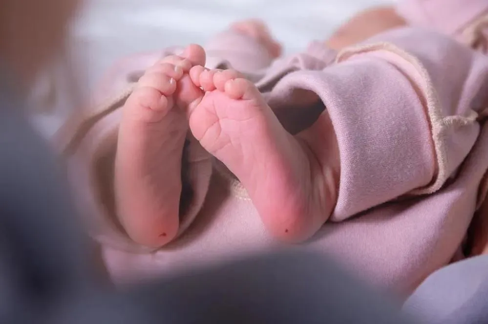 (Foto: Antibydni / stock.adobe.com)