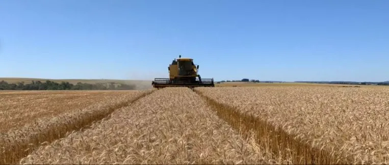(Foto: FecoAgro/Divulgação)