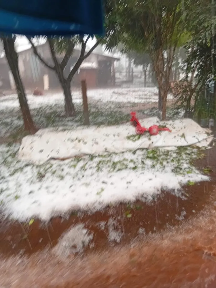 (Fotos: Divulgação Grupos de WhatsApp e Redes Sociais)