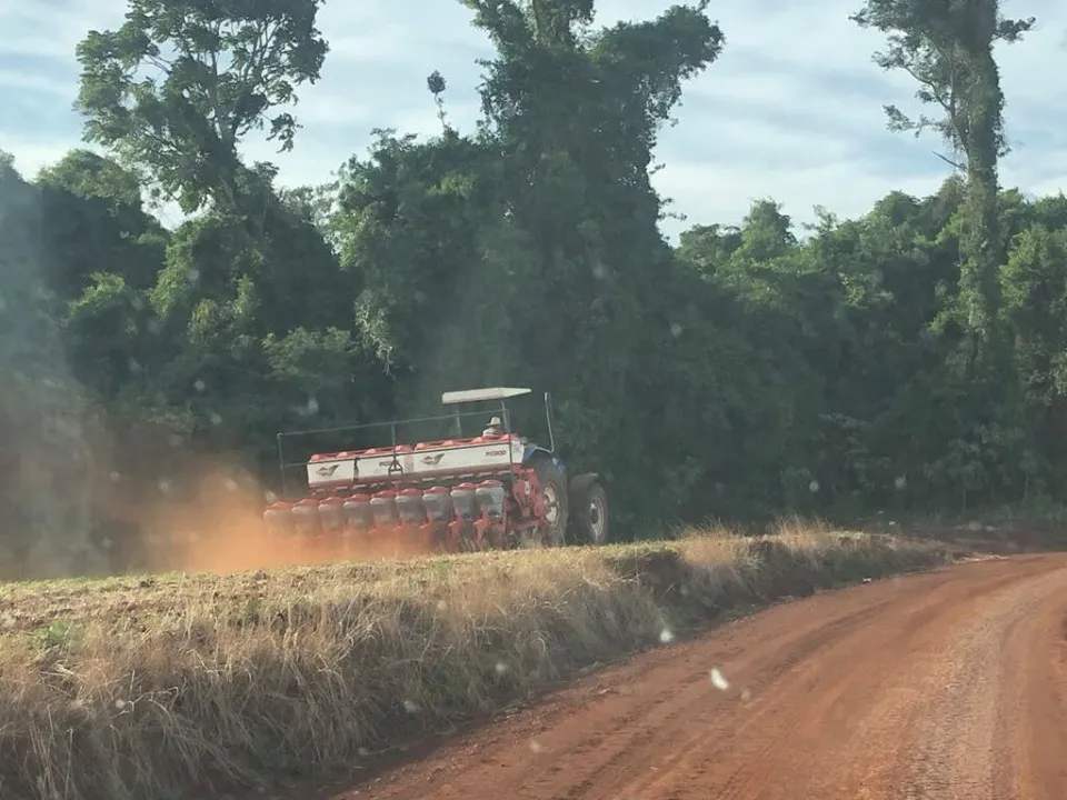Estimativa de área a ser cultivada na safra 2026 está em levantamento pela Emater-Ascar (Foto: Diones Roberto Becker)