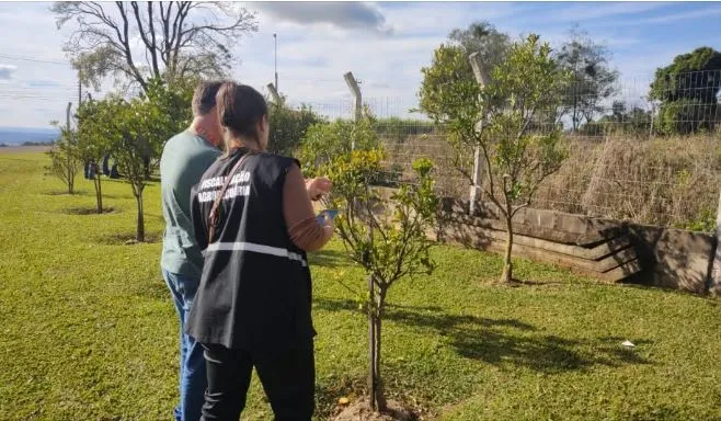 (Foto: Divulgação Seapi ) 
