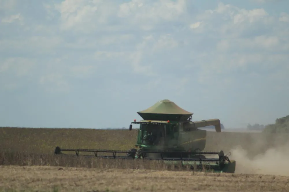 Produtividade média estadual da soja foi reavaliada para 2.707 quilos de soja por hectare (Foto: Diones Roberto Becker)