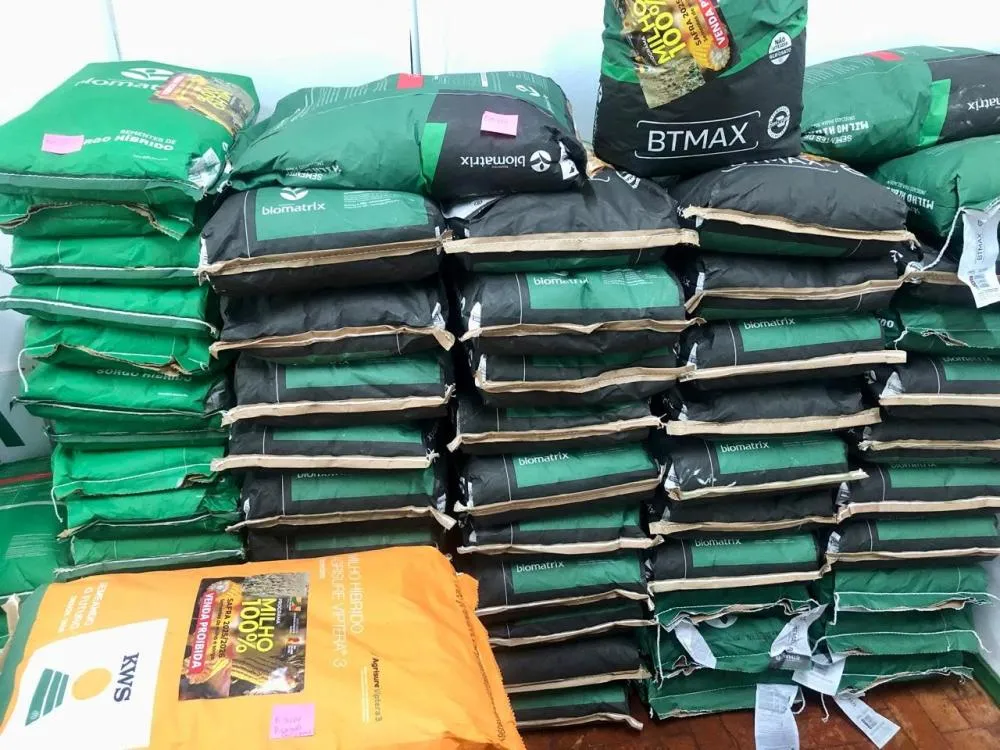 Programa Milho 100% supera número de produtores atendidos na safra passada