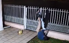 (Fotos: Reprodução grupos de WhatsApp/ Redes Sociais)