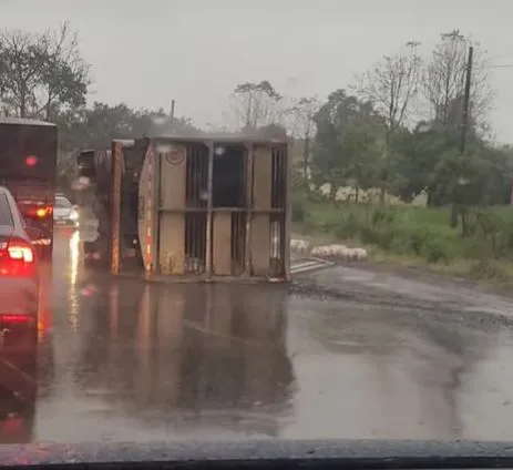 (Foto: Captura / Vídeo / Redes Sociais)