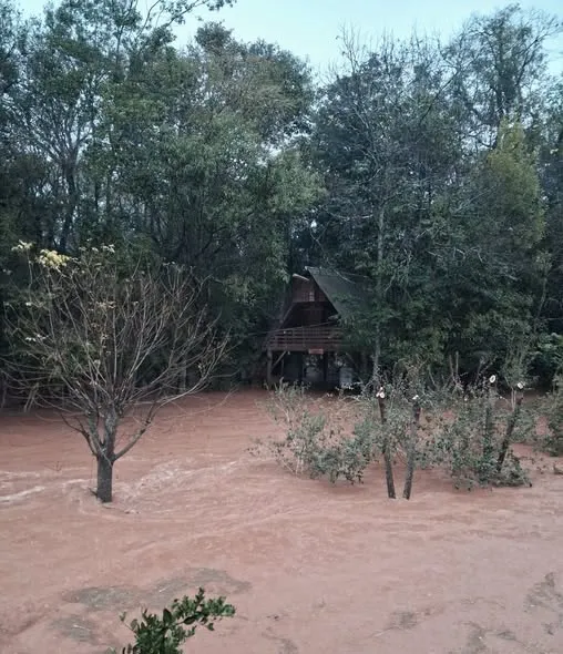 (Foto: Internauta / Reprodução / MB Noticias)