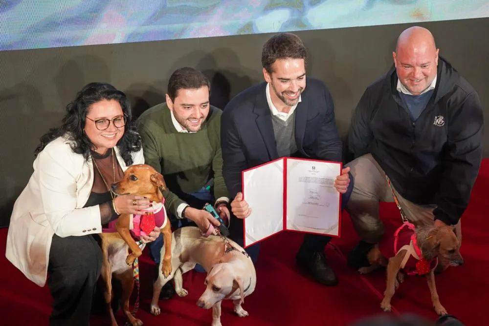 Governo do Estado anunciou o repasse de R$ 8 milhões para ações voltadas à proteção e ao bem-estar dos animais domésticos (Foto: Igor de Almeida | ASCOM SEMA)