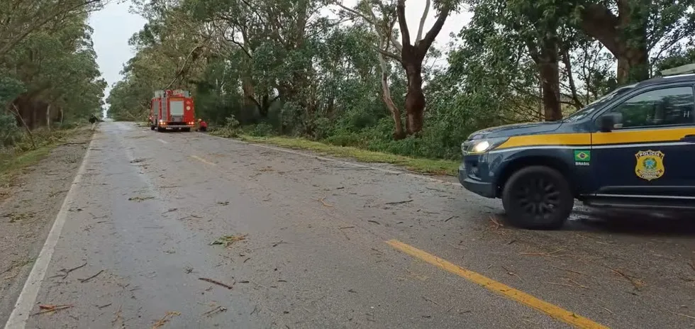 Pelo menos 16 municípios reportaram algum tipo de prejuízo em razão da chuva e do vento no Rio Grande do Sul nas últimas 24 horas (Foto: Divulgação | PRF)