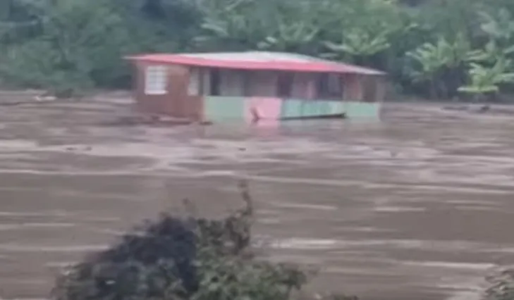 (Foto: Reprodução / Captura de vídeo / NB Notícias)