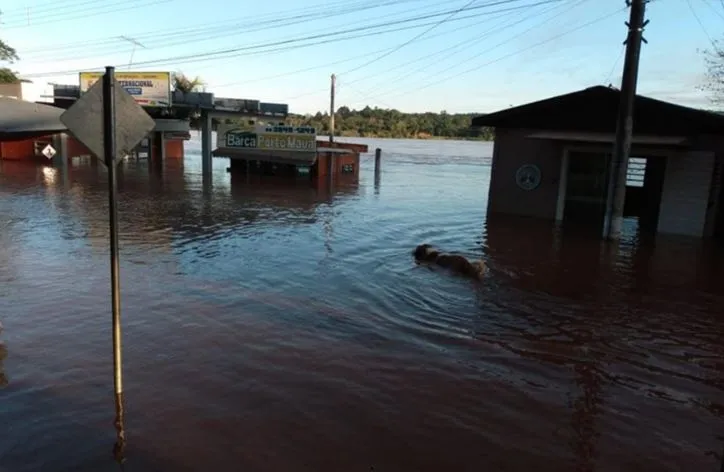 (Foto: Divulgação / Wilson Winnkler)