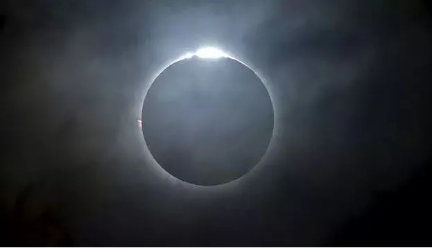 (Foto: Divulgação O Sul) 
