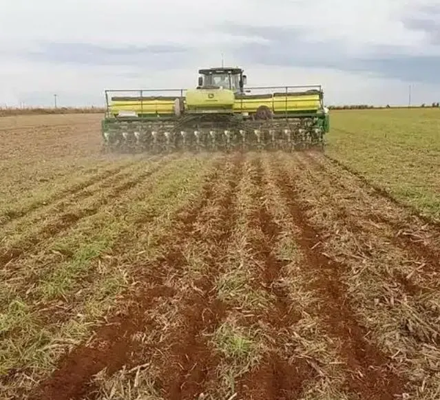 (Foto: Álvaro Resende/Embrapa Milho e Sorgo/Divulgação)