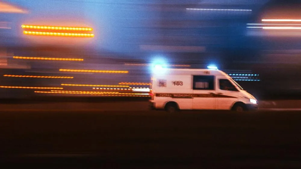 (Foto: Reprodução / Artem Korsakov / Pexels)