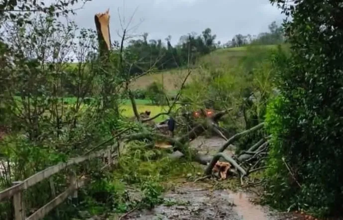 (Foto: PM Divulgação)
