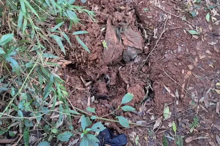 (Foto: Reprodução / Corpo de Bombeiros)