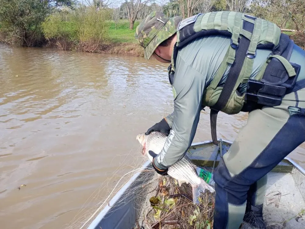 Fiscalização ocorreu nesta semana com o objetivo de combater a pesca ilegal e prevenir crimes contra a fauna aquática (Foto: Divulgação | BM)
