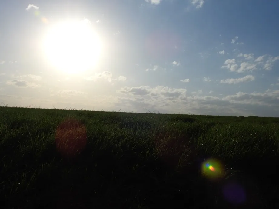 Ao longo dos dias seguintes, ainda haverá possibilidade de precipitações isoladas em algumas regiões (Foto: Diones Roberto Becker)