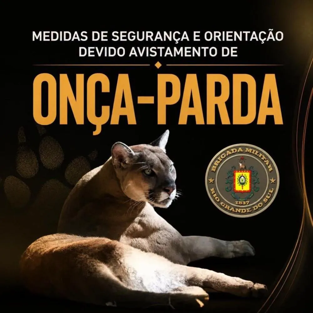 Possível avistamento de onça-parda mobiliza Brigada Militar em Ametista do Sul