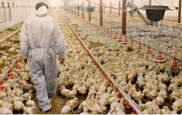 (Foto: Adagri/ Divulgação)