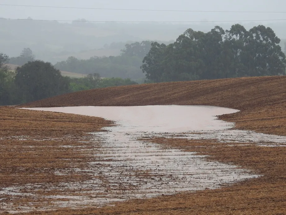 Há previsão de chuva em diferentes localidades do Estado e de rajadas de vento intensas (Foto: Diones Roberto Becker)