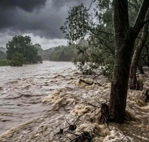(Foto: Divulgação)