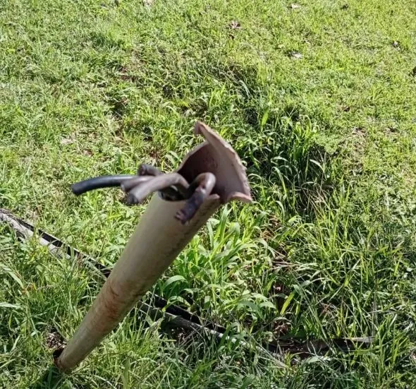 (Foto: Divulgação) 