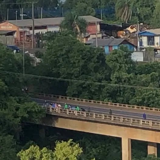 Mulher que teria se jogado de viaduto fica presa em galhos e é resgatada em Frederico Westphalen