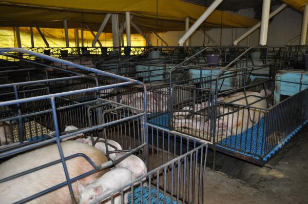 Município registrou crescimento de 3,75% na atividade no ano passado (Foto: Divulgação/ASCOM Três Passos)