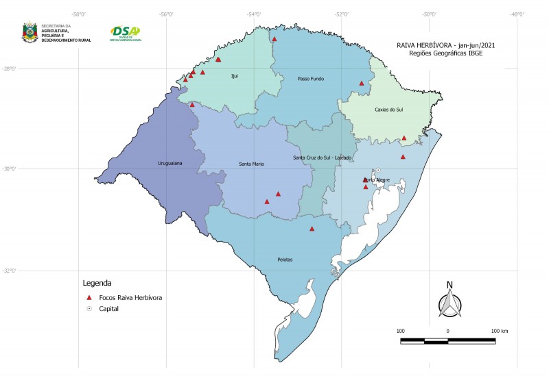 Foto: (Divulgação)