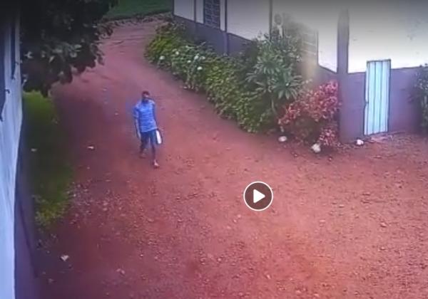 Câmeras de vídeo monitoramento flagraram ação do criminoso em Tenente Portela