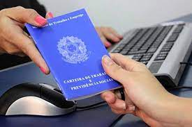 Foto: (Divulgação)