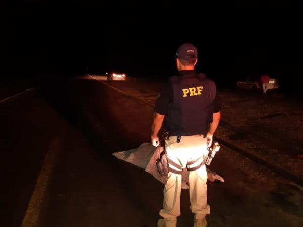 Motorista envolvido no atropelamento fugiu do local sem prestar socorro (Foto: Divulgação/PRF)