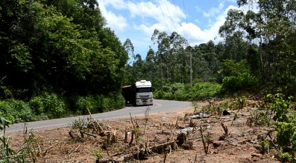 Trânsito na região também tem grande número de veículos de carga (Foto: Jornal Província)