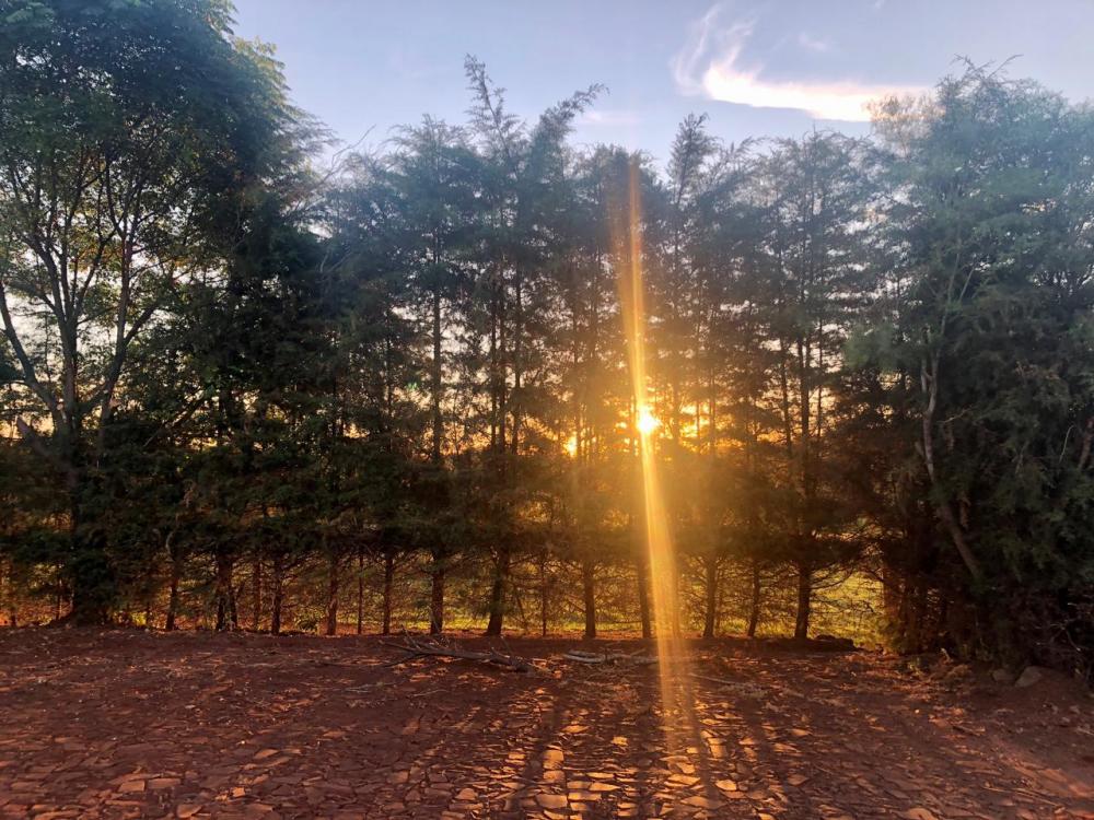 Na próxima semana haverá elevação das temperaturas, com valores acima de 25ºC na maioria das regiões (Foto: Diones Roberto Becker)