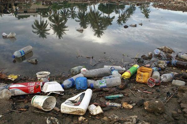 Levantamento foi efetuado pelo Fundo Mundial para a Natureza (Foto: Divulgação)