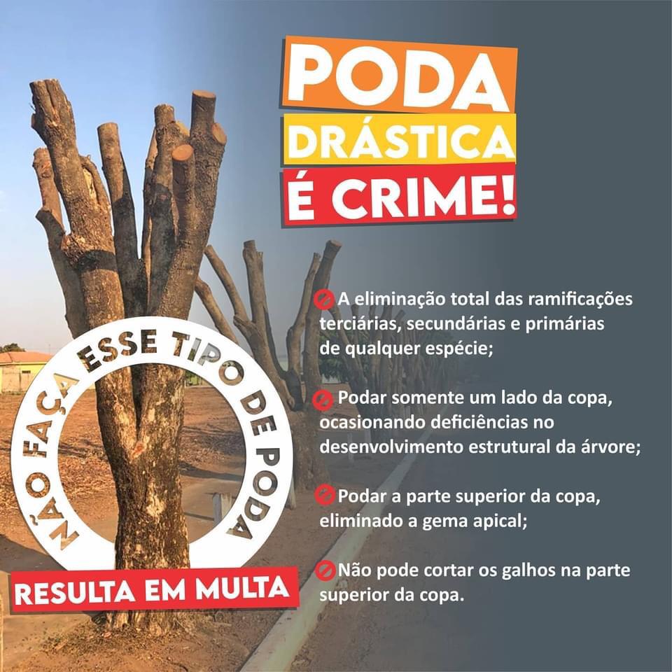 Foto: Prefeitura Municipal de Tenente Portela.