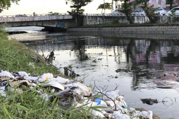 Degradação do meio ambiente provoca riscos ao PIB global e a produção global de grãos (Foto: Carolina Gonçalves/Agência Brasil)