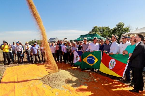 Abertura oficial da colheita de soja foi realizada no município de Tupanciretã (Foto: Itamar Aguiar/Palácio Piratini)