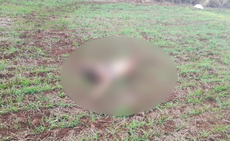 O corpo da mulher foi encontrado em uma lavoura próximo a um mato. (Foto: Reprodução / Observador Regional)
