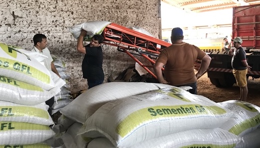 Distribuição das sementes forrageiras prossegue até a próxima segunda-feira (Foto: Divulgação/ASCOM Vista Gaúcha)